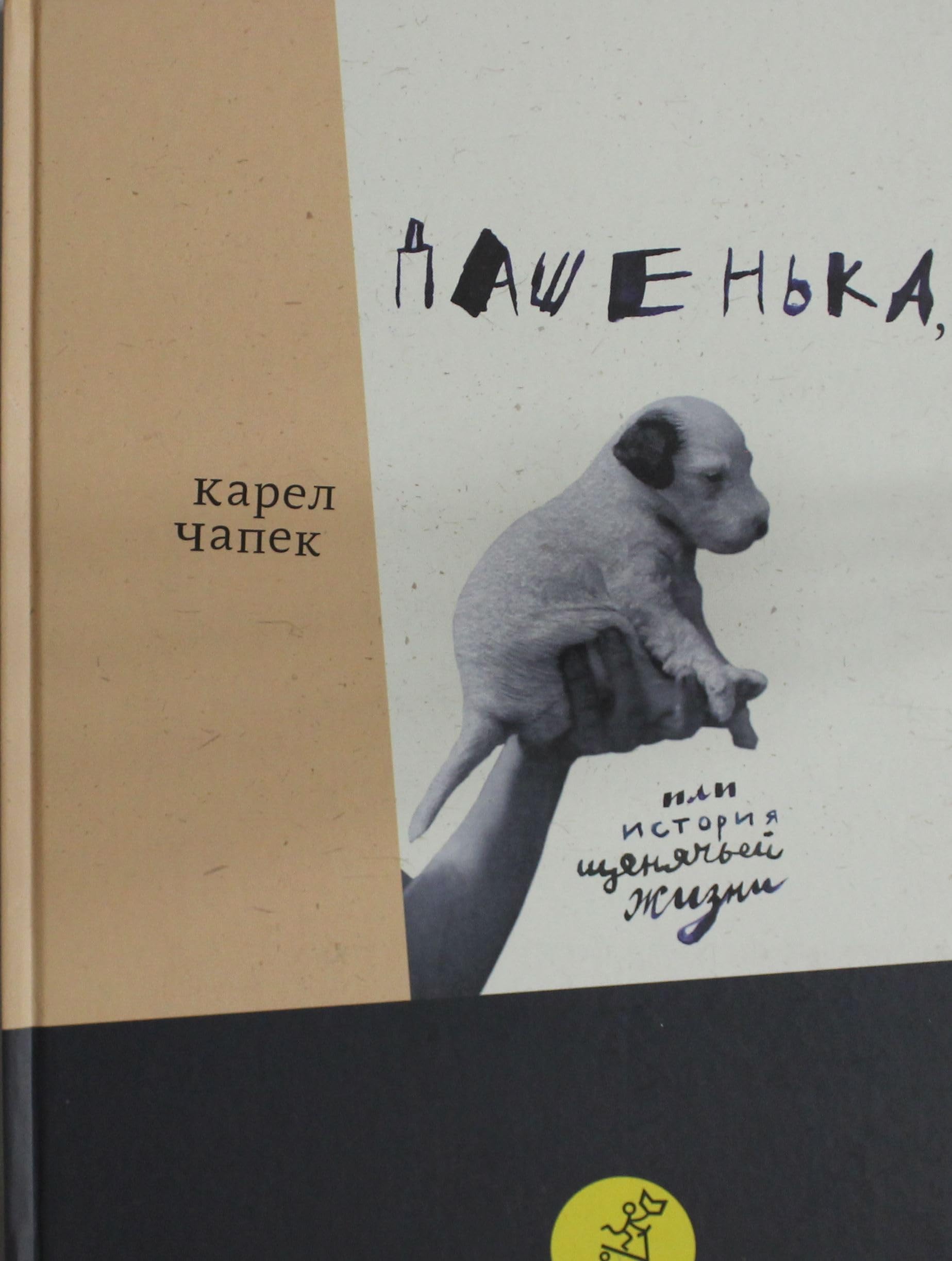 Dashenka, ili istorija schenjachej zhizni Books