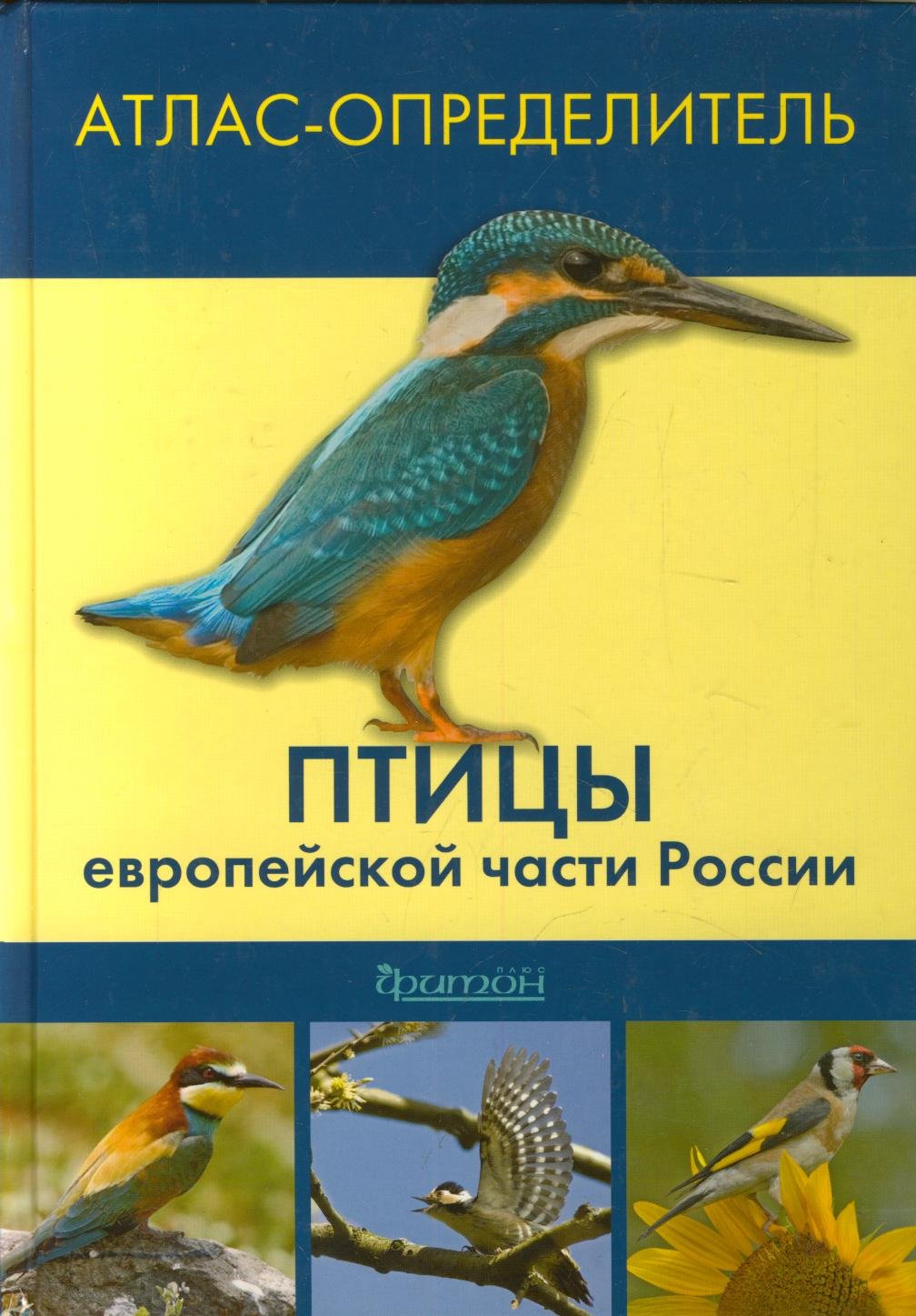 Ptitsy evropeyskoy chasti Rossii. Atlas-opredelitel Books