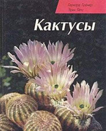 Product Image: Kaktusy