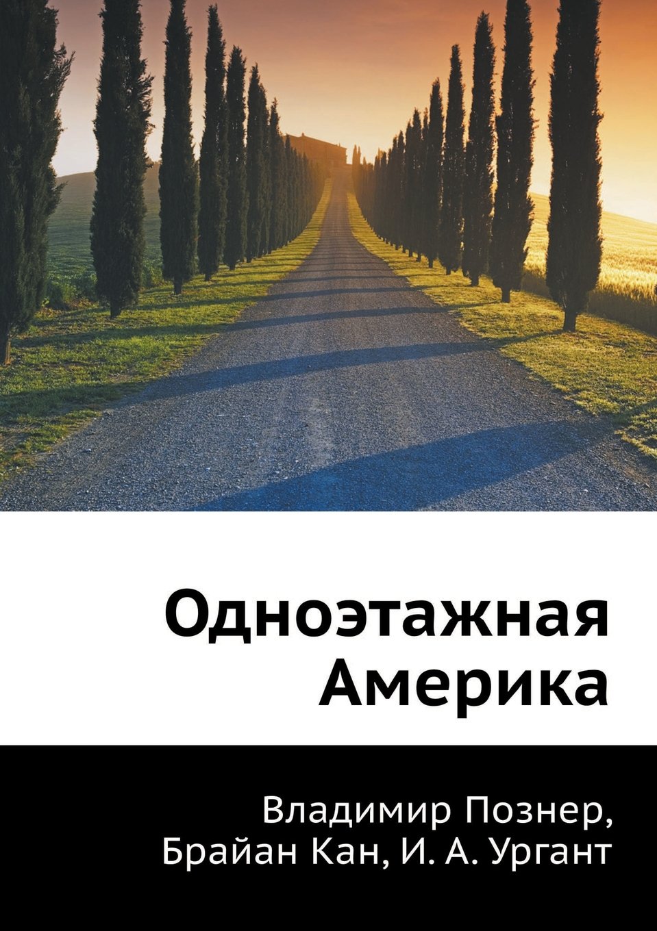 Odnoetazhnaya Amerika Books