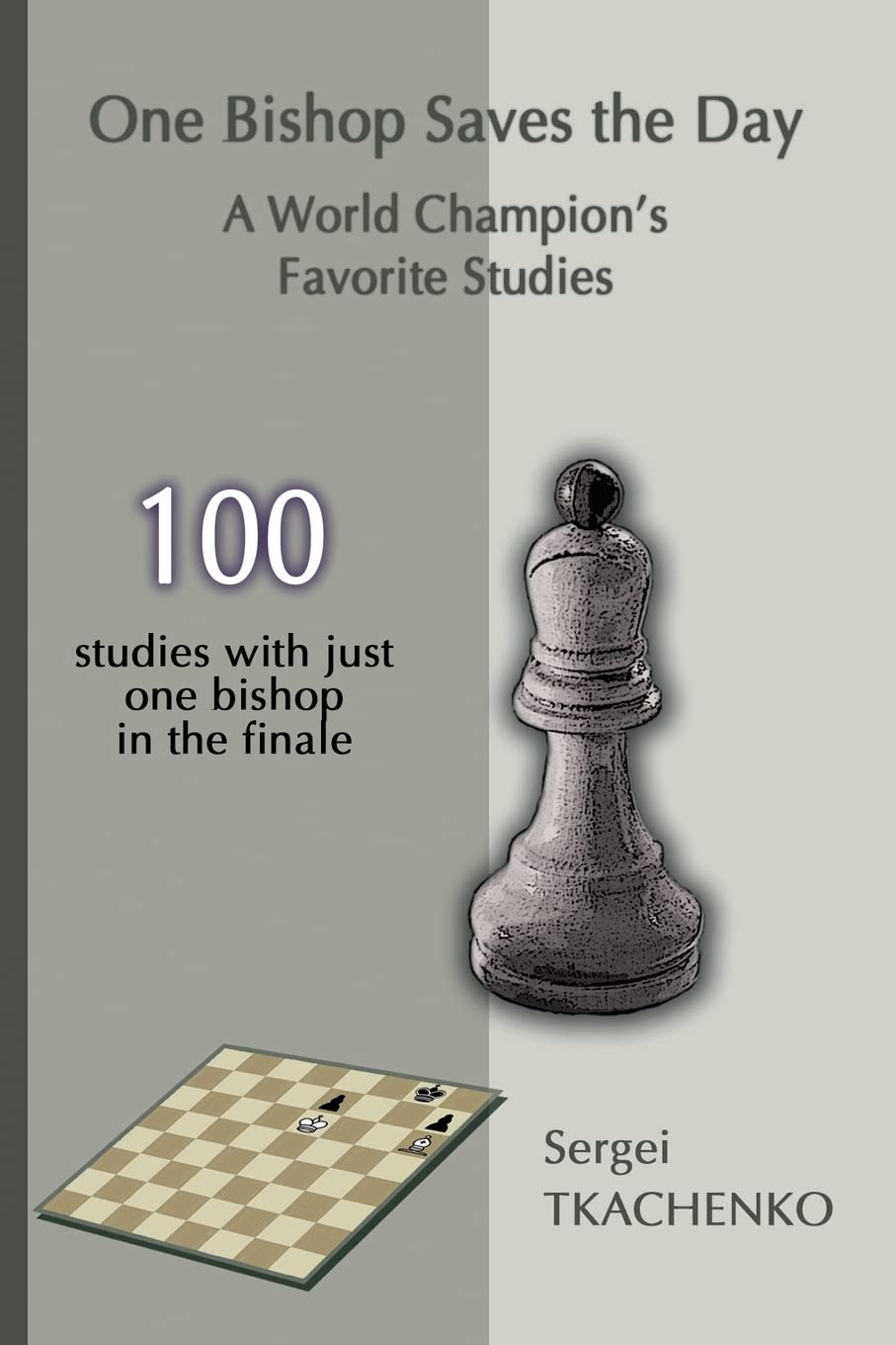 One Bishop Saves the Day: A World Champion's Favorite Studies Leisure & Fun