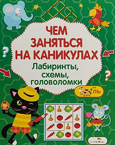 Chem zanyatsya na kanikulah? Labirinty, shemy, golovolomki. Vypusk 6 Books