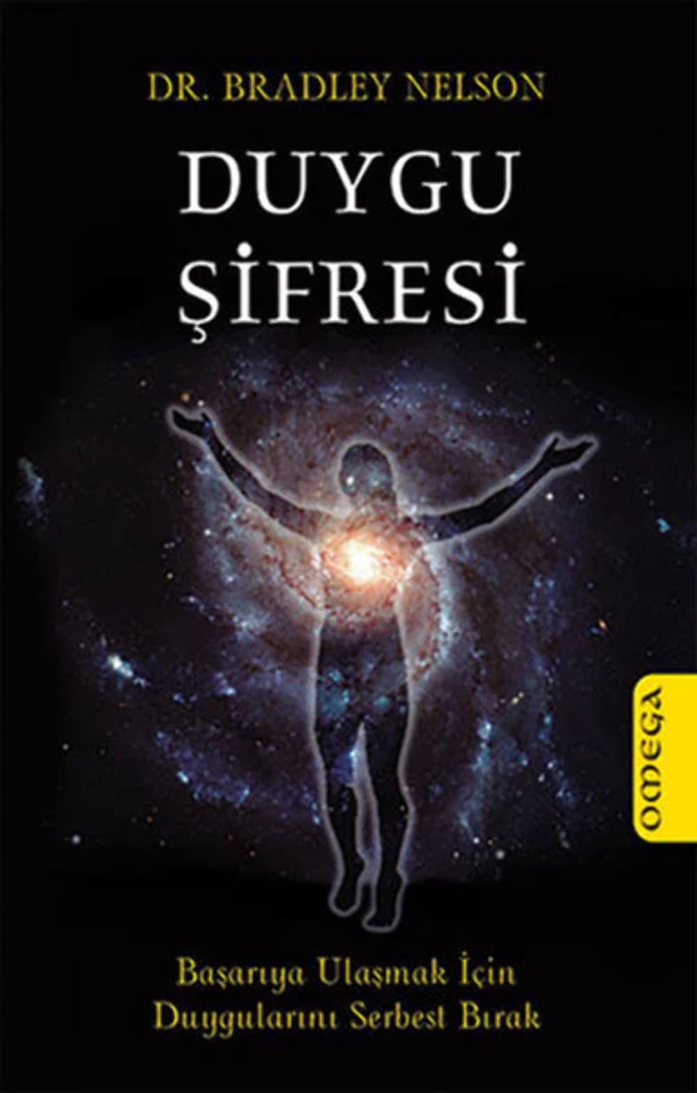 Product Image: Duygu Sifresi