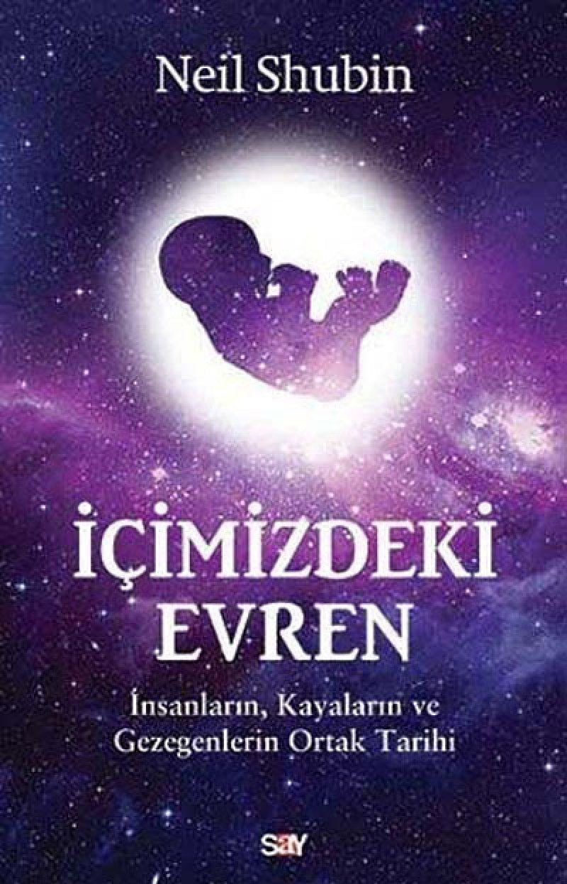 Icimizdeki Evren: İnsanların, Gezegenlerin ve Kayaların Ortak Tarihi Social Sciences