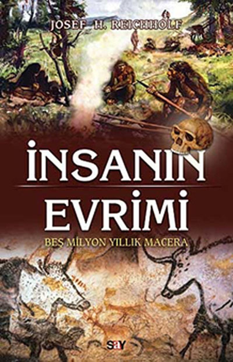Product Image: Insanin Evrimi