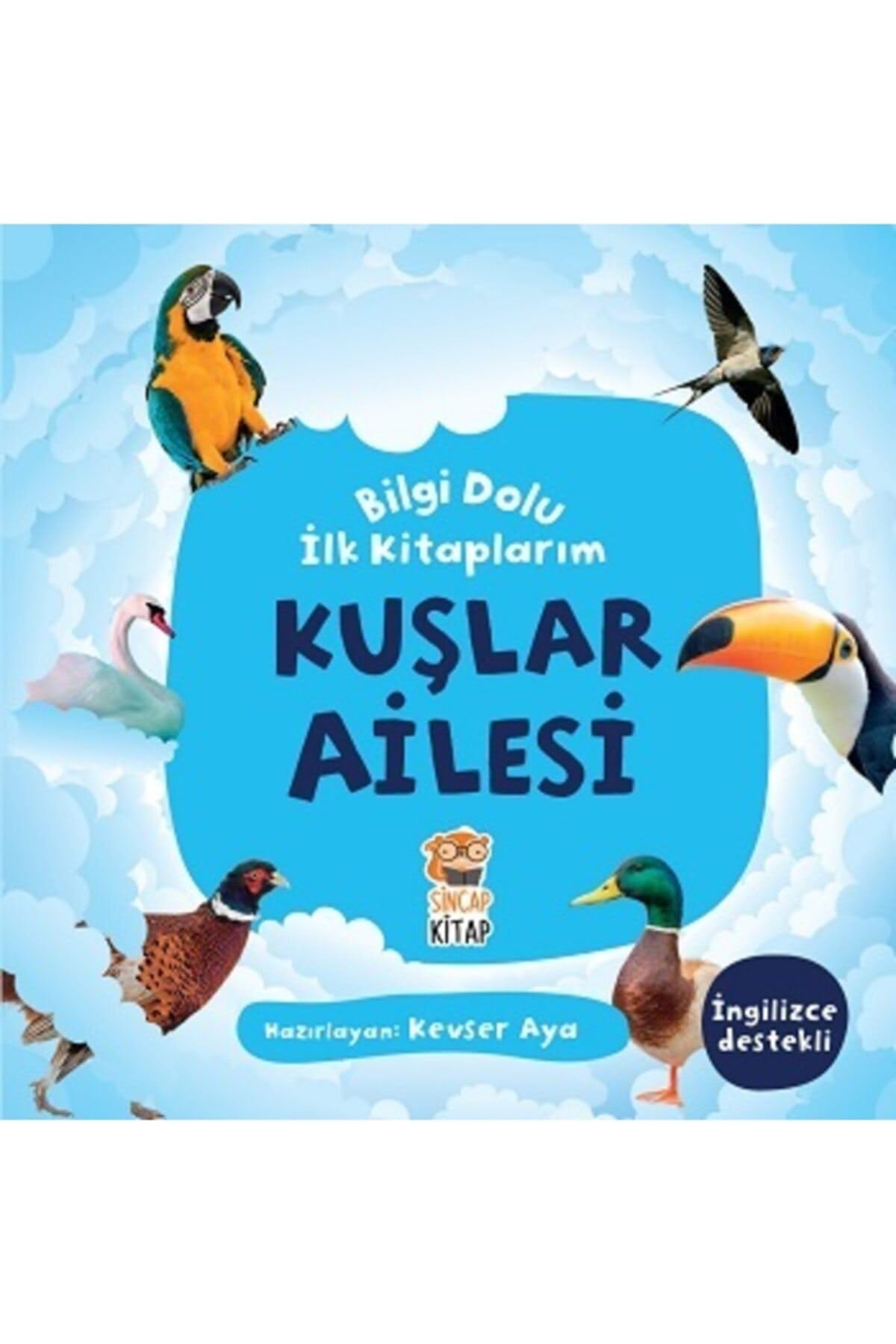Bilgi Dolu Ilk Kitaplarim - Kuslar Ailesi book