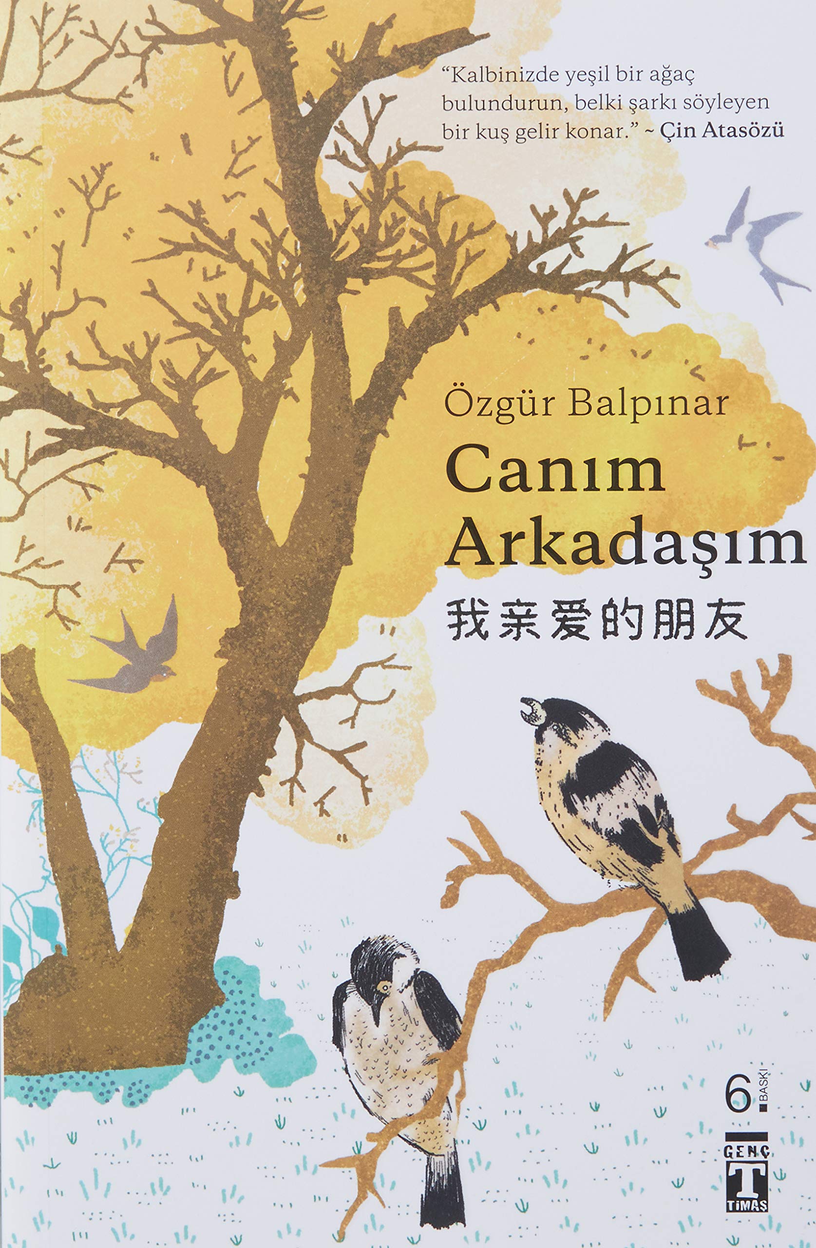 Canim Arkadasim Contemporary literature Books