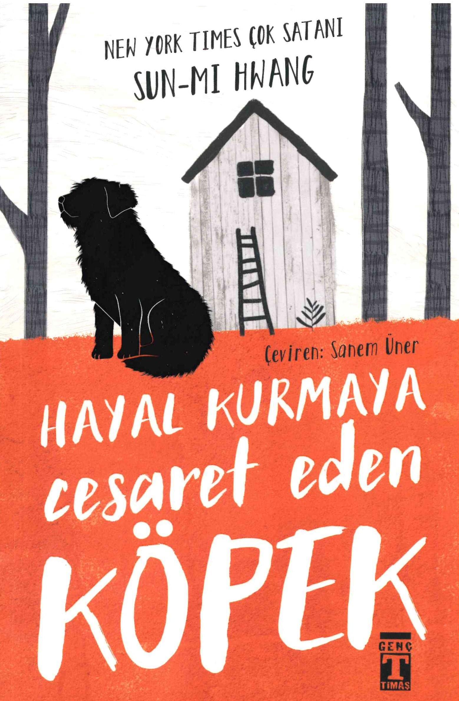 Hayal Kurmaya Cesaret Eden Köpek Contemporary literature