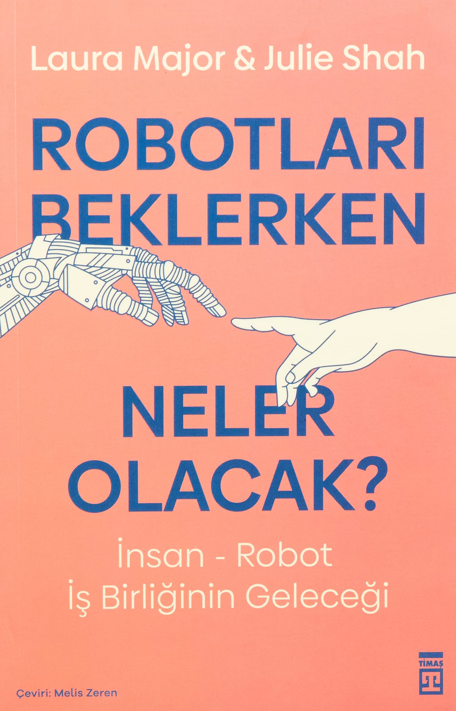 Robotlari Beklerken Neler Olacak book