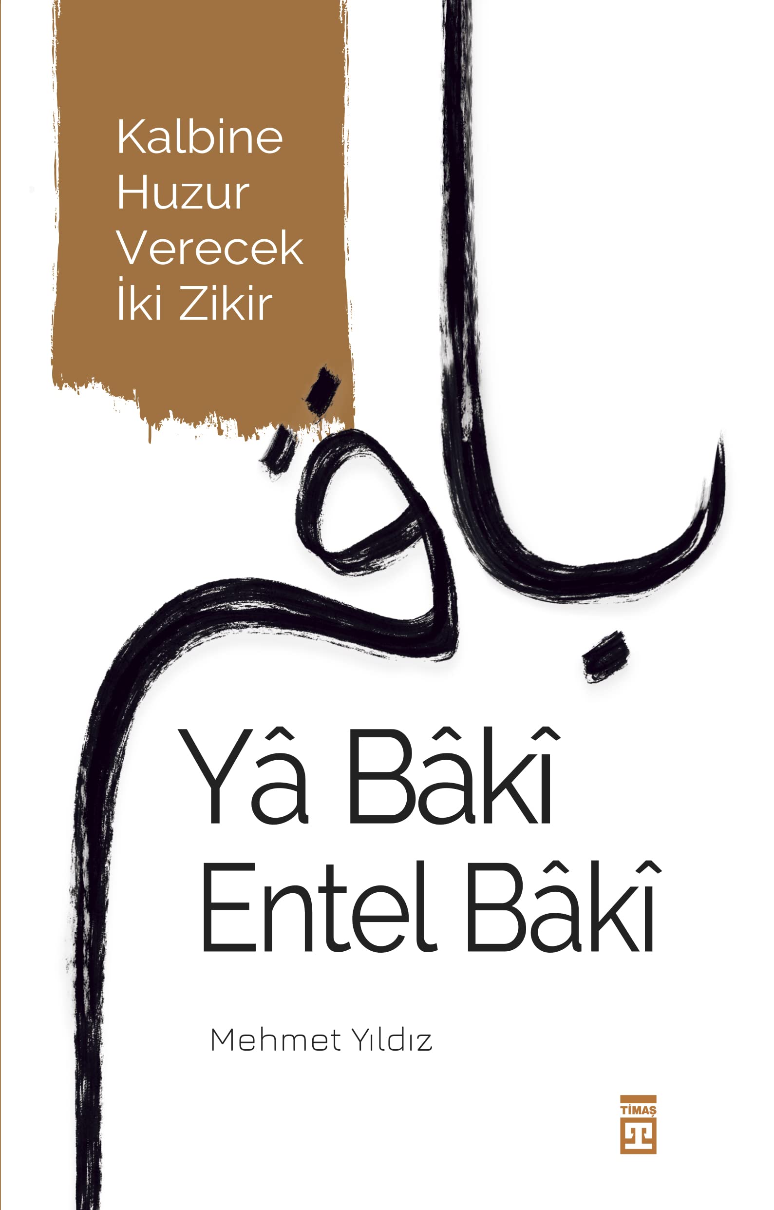 Ya Baki Entel Baki Books
