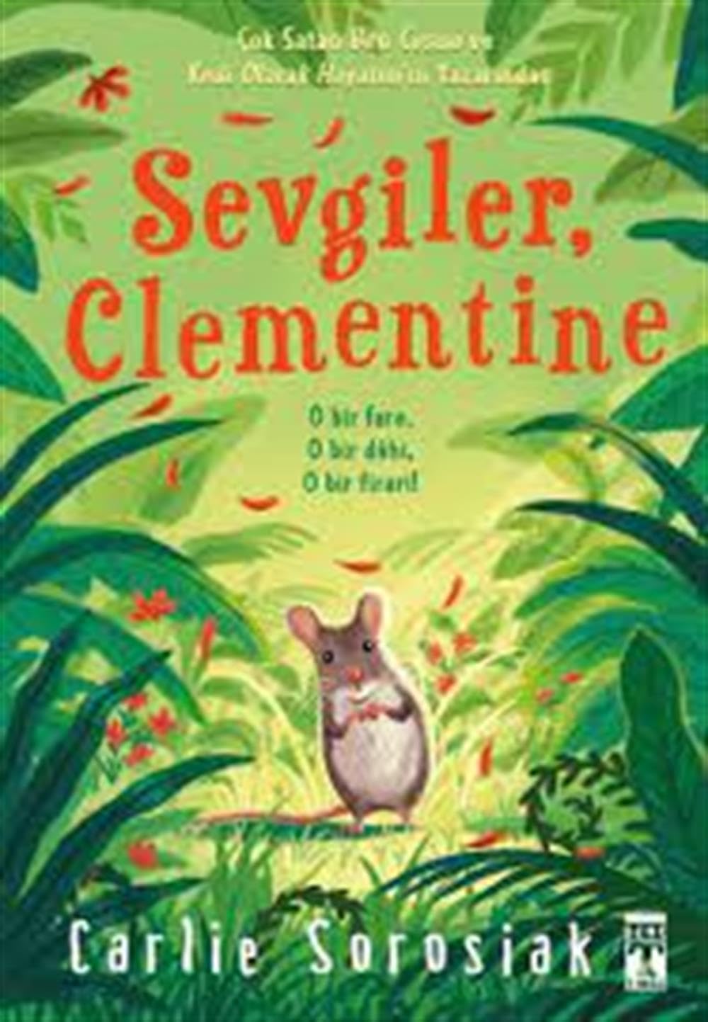 Sevgiler Clementine Contemporary literature
