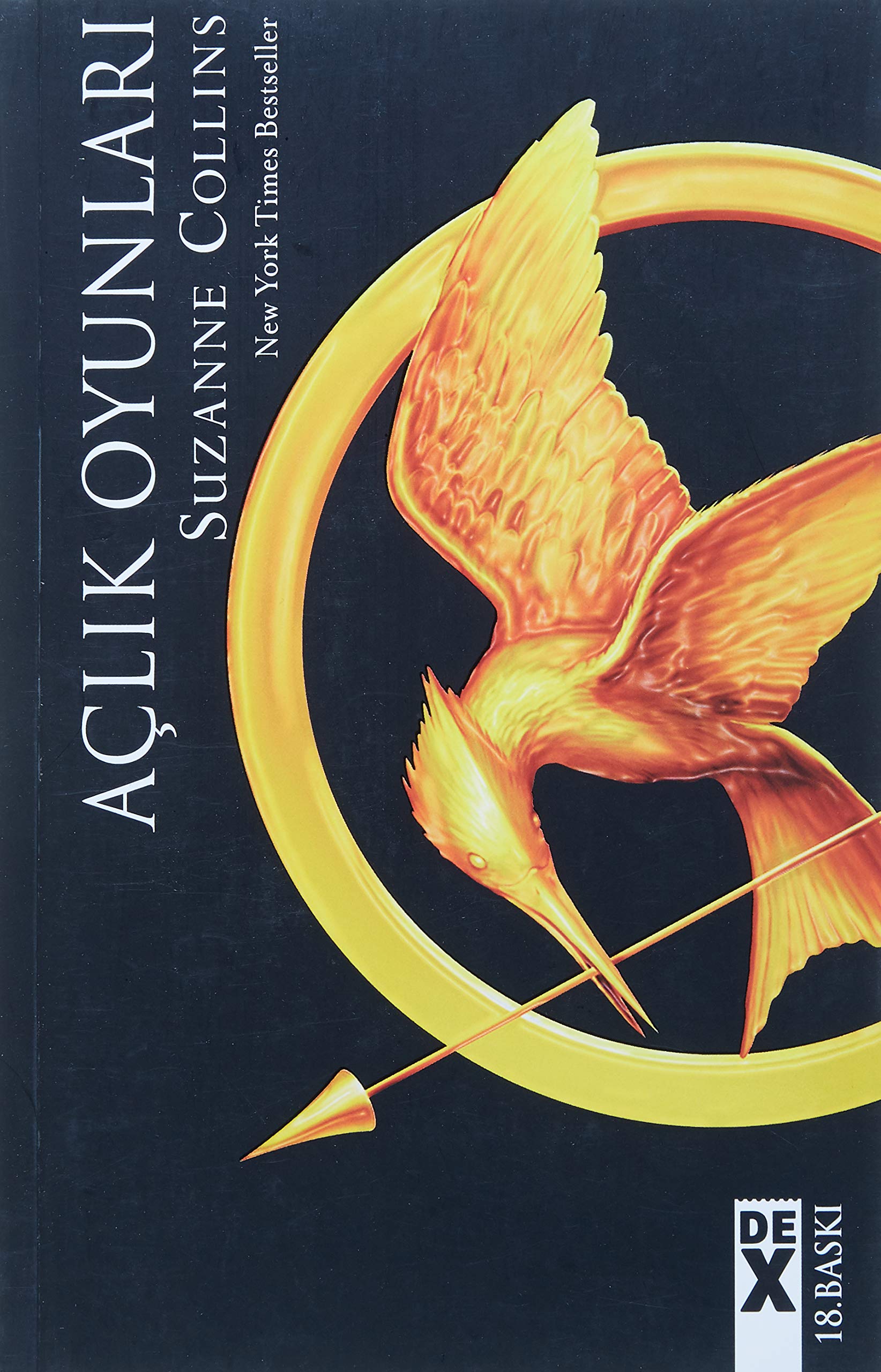 Product Image: Aclik Oyunlari 1