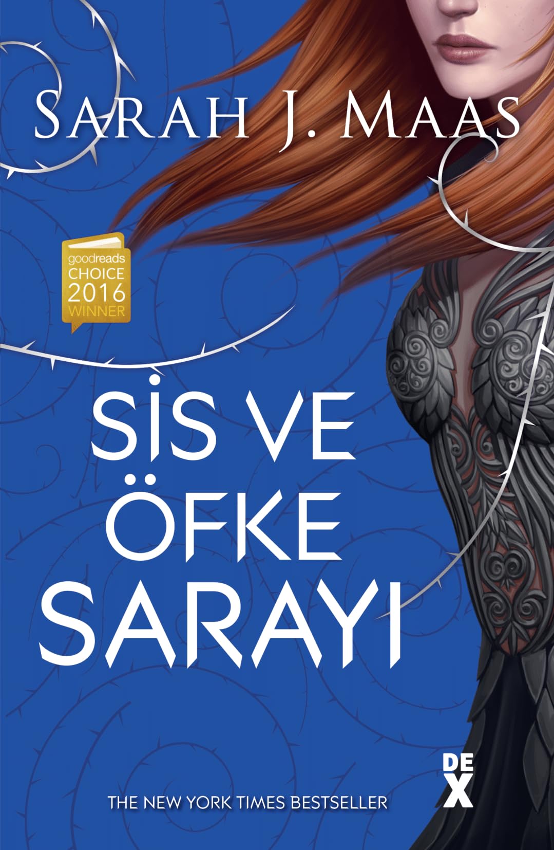 Sis ve Öfke Sarayi: Dikenler ve Güller Sarayi: Önyargılarını Yık: Hem Aşkta hem Savaşta! Action & Adventure