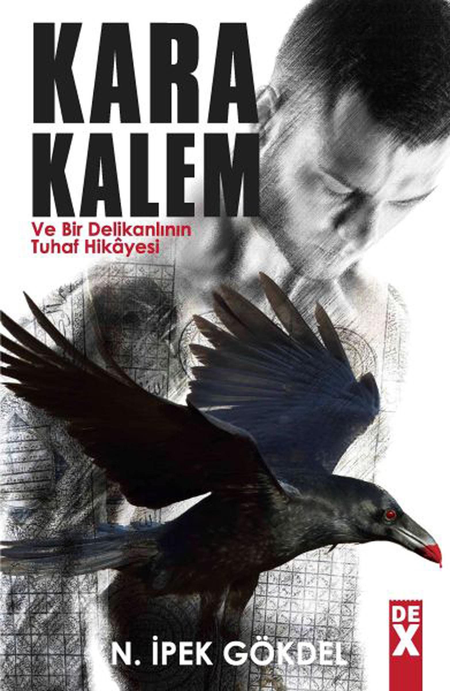 Karakalem ve Bir Delikanlinin Tuhaf Hikayesi book
