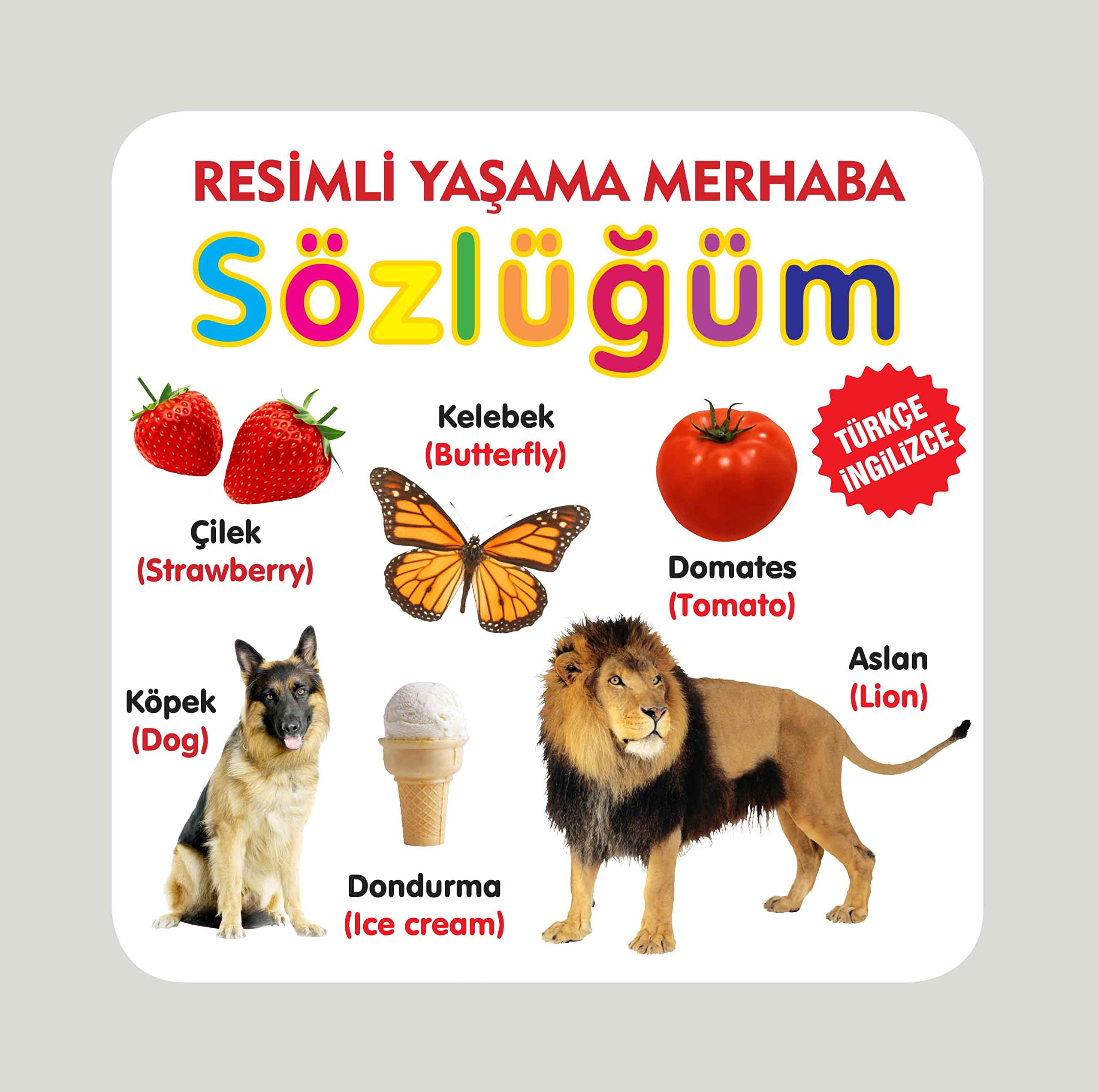 Yasama Merhaba Sozlugum Books