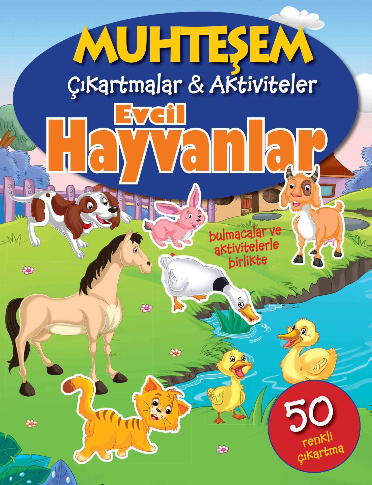 Muhtesem Cikartmalar Aktiviteler Evcil Hayvanlar Books