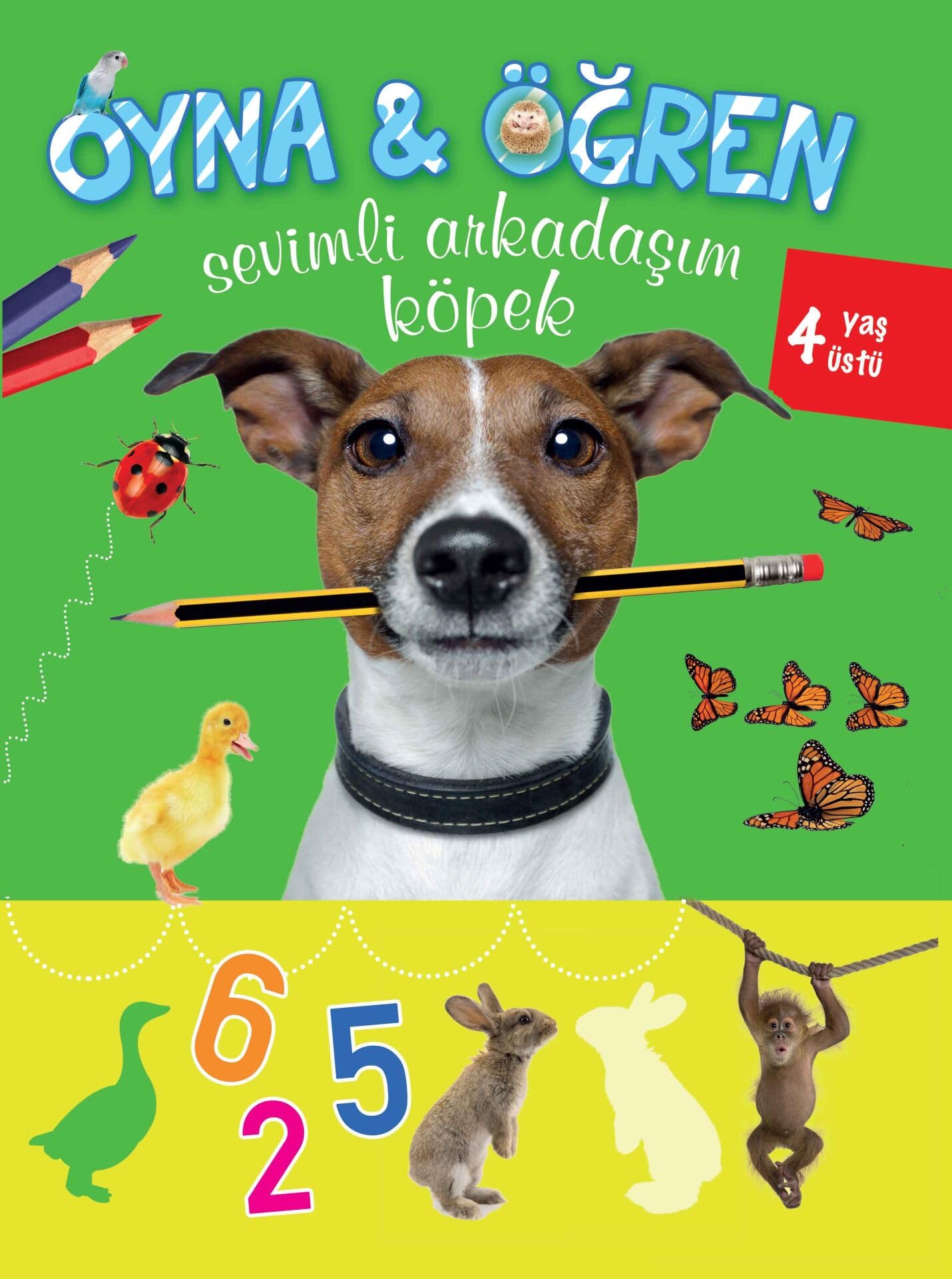 Oyna Ogren Sevimli Arkadasim Kopek Books