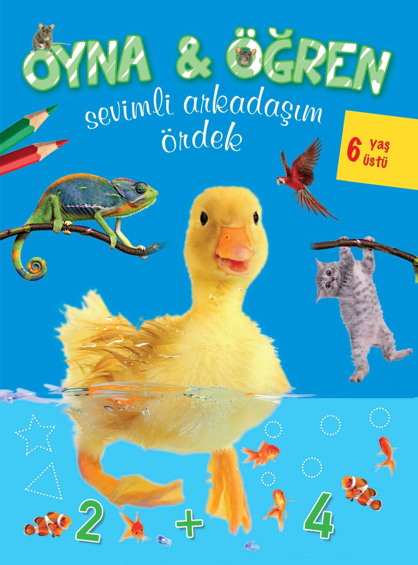 Sevimli Arkadasim ordek / Oyna ogren Books