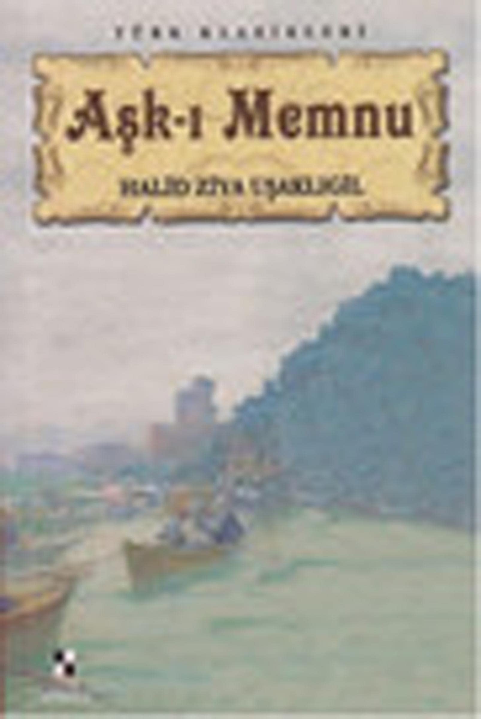 Ask-i Memnu Books