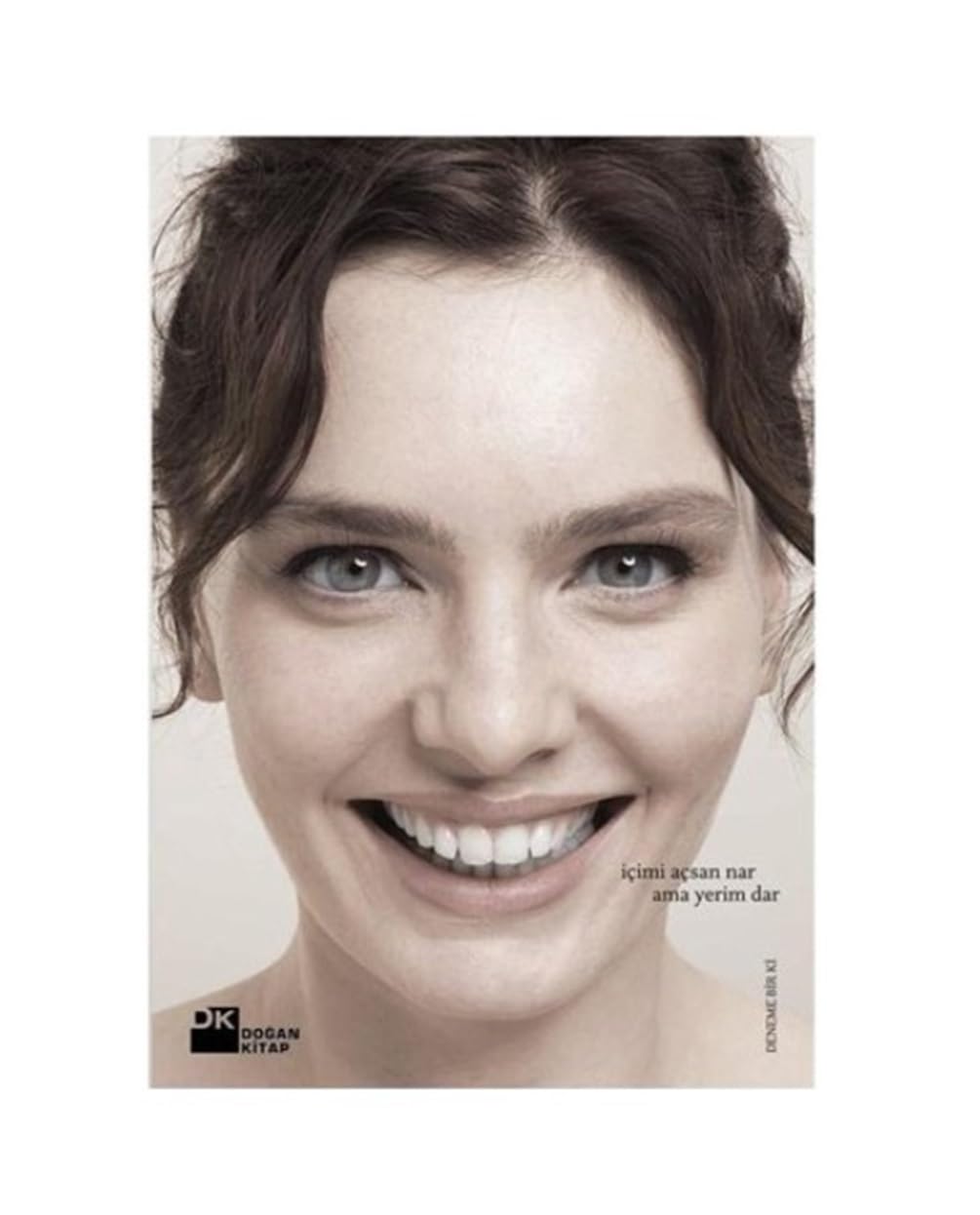 Nilin Kelebekleri book