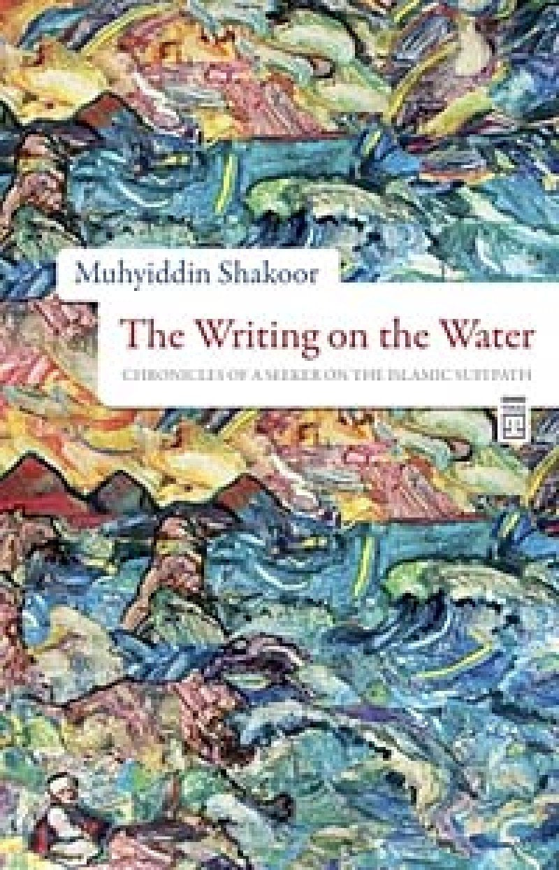 THE WRITING ON THE WATER Contemporary literature