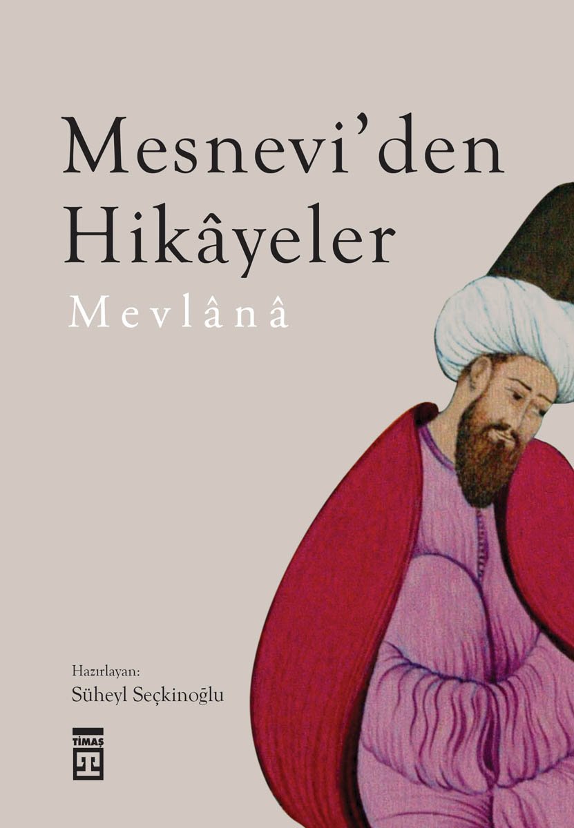Mesneviden Hikayeler book