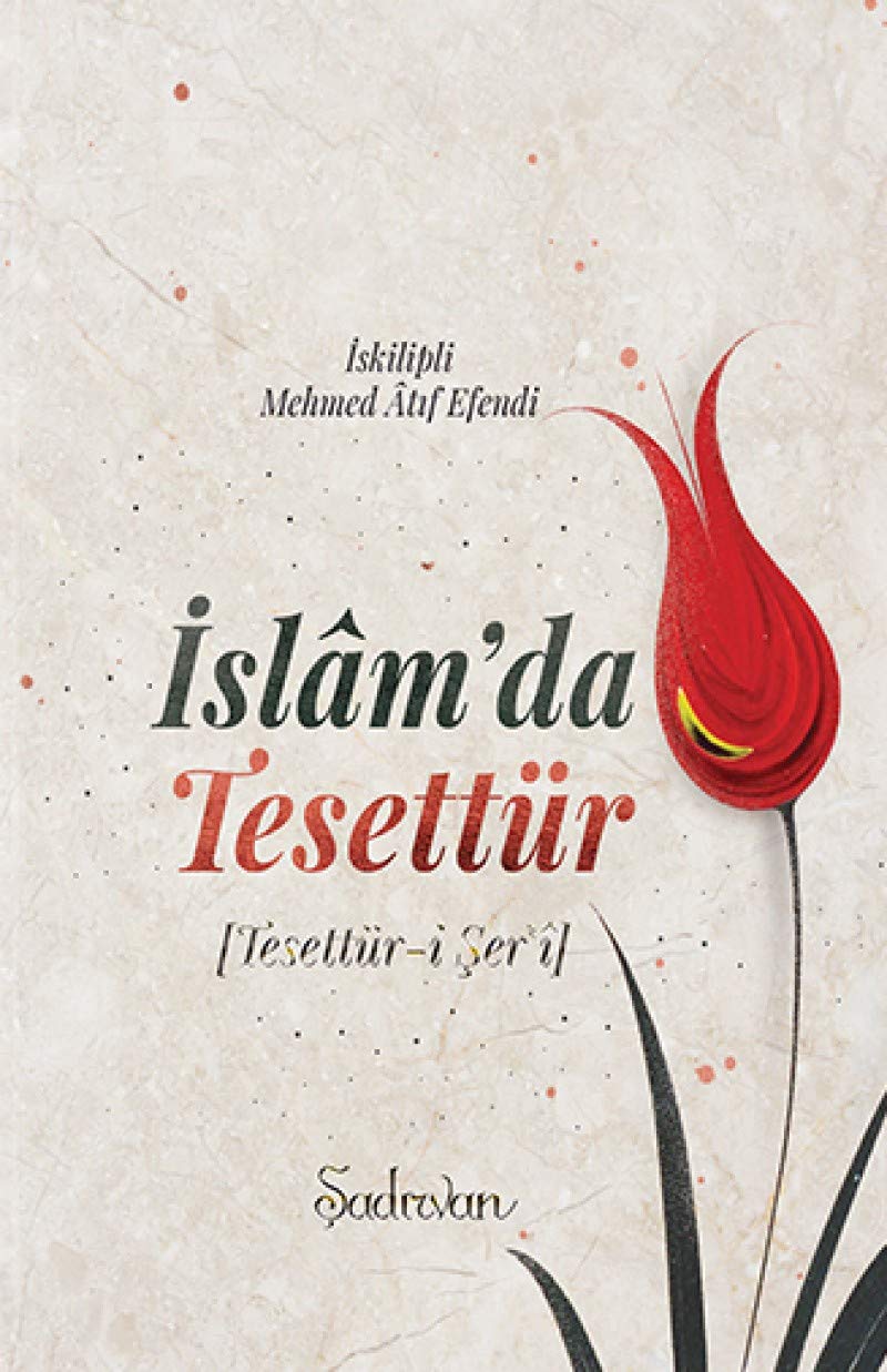 islam'da Tesettur & Tesettur-i ser'i Books
