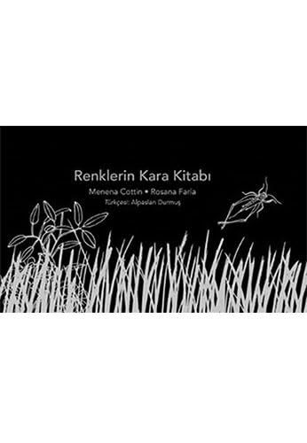 Renklerin Kara Kitabı (Ciltli) Historical Fiction