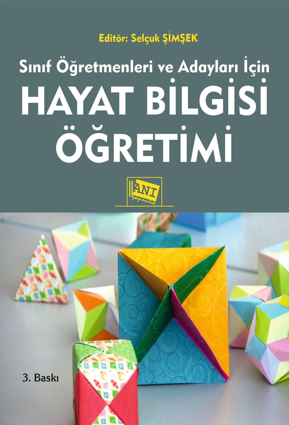 Sınıf Öğretmenleri ve Adayları için Hayat Bilgisi Öğretimi Books