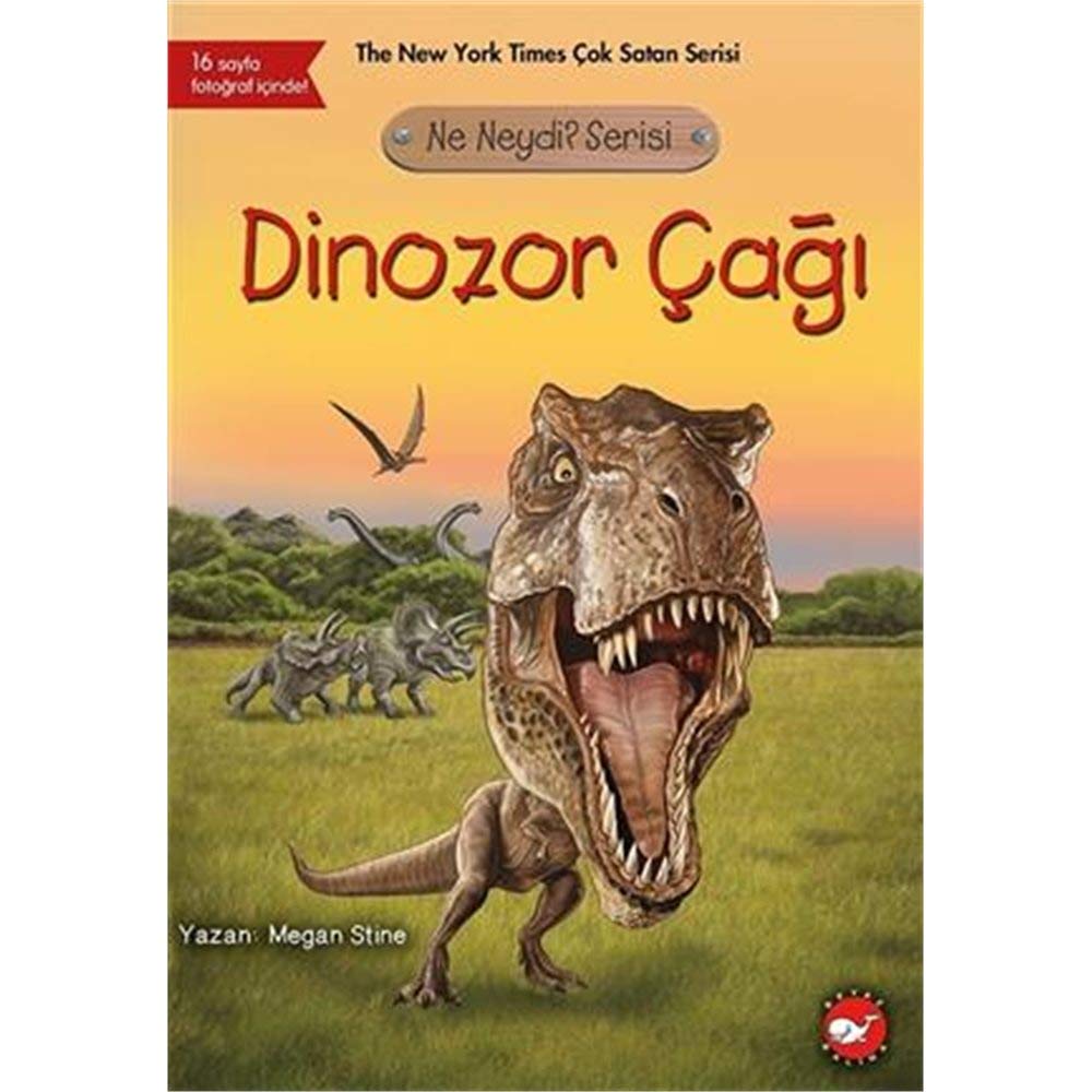 Product Image: Dinozor Cagi