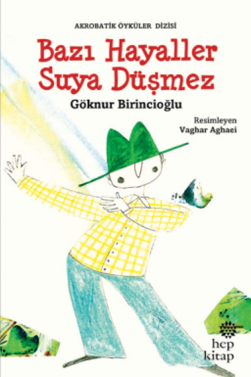 Bazi Hayaller Suya Düsmez book