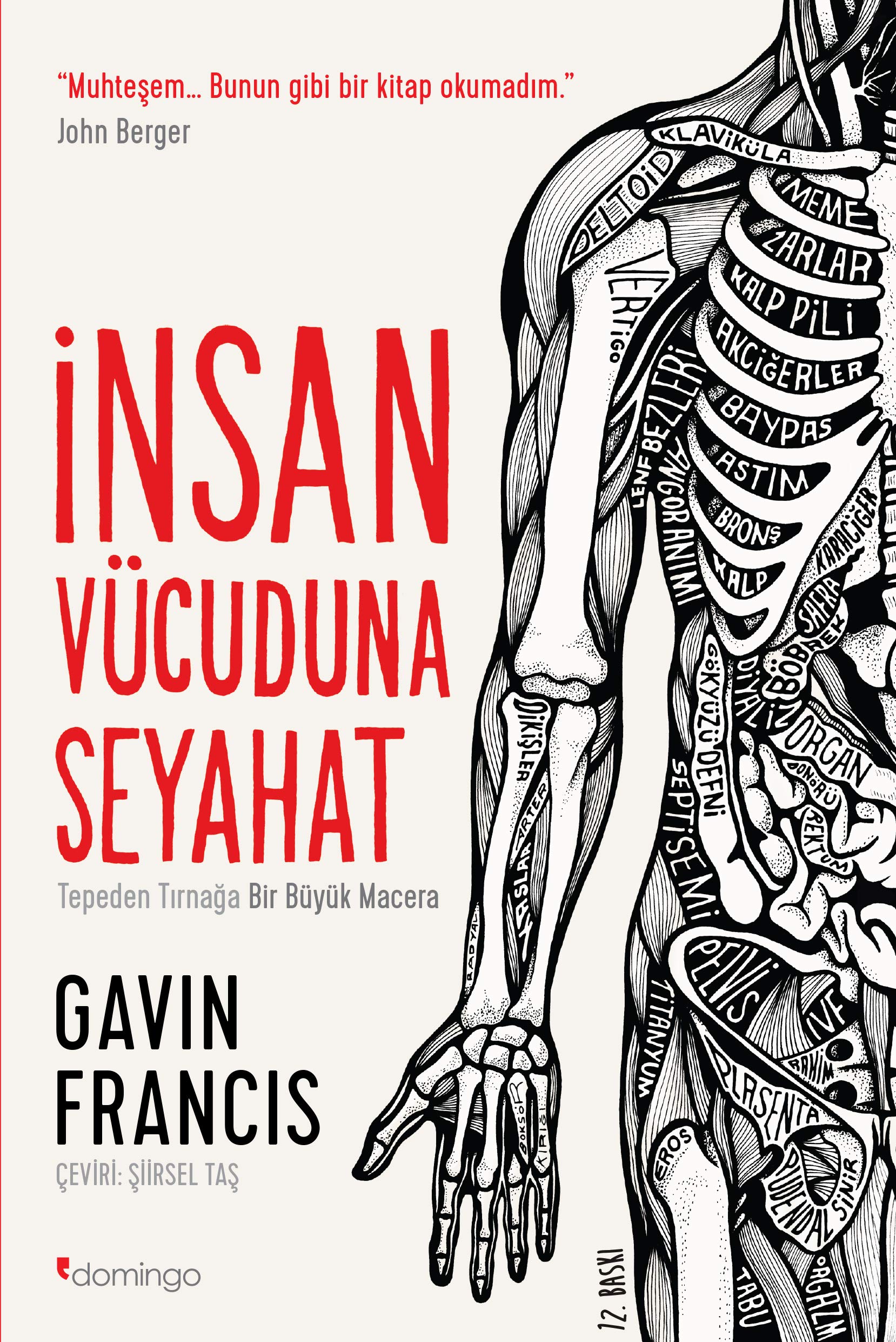 Insan Vücuduna Seyahat: Tepeden Tırnağa Bir Büyük Macera Social Sciences