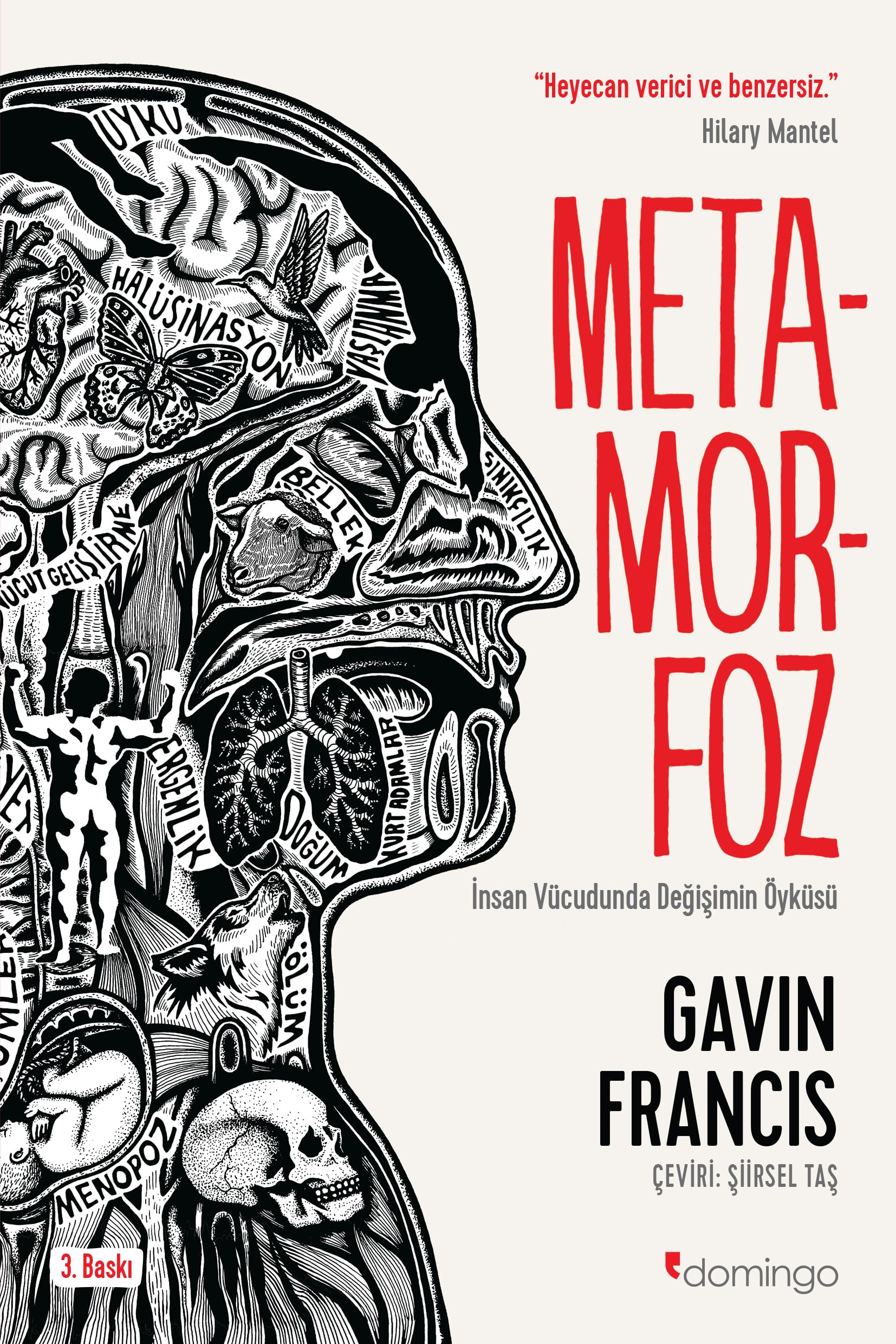 Metamorfoz: İnsan Vücudunda Değişimin Öyküsü Social Sciences