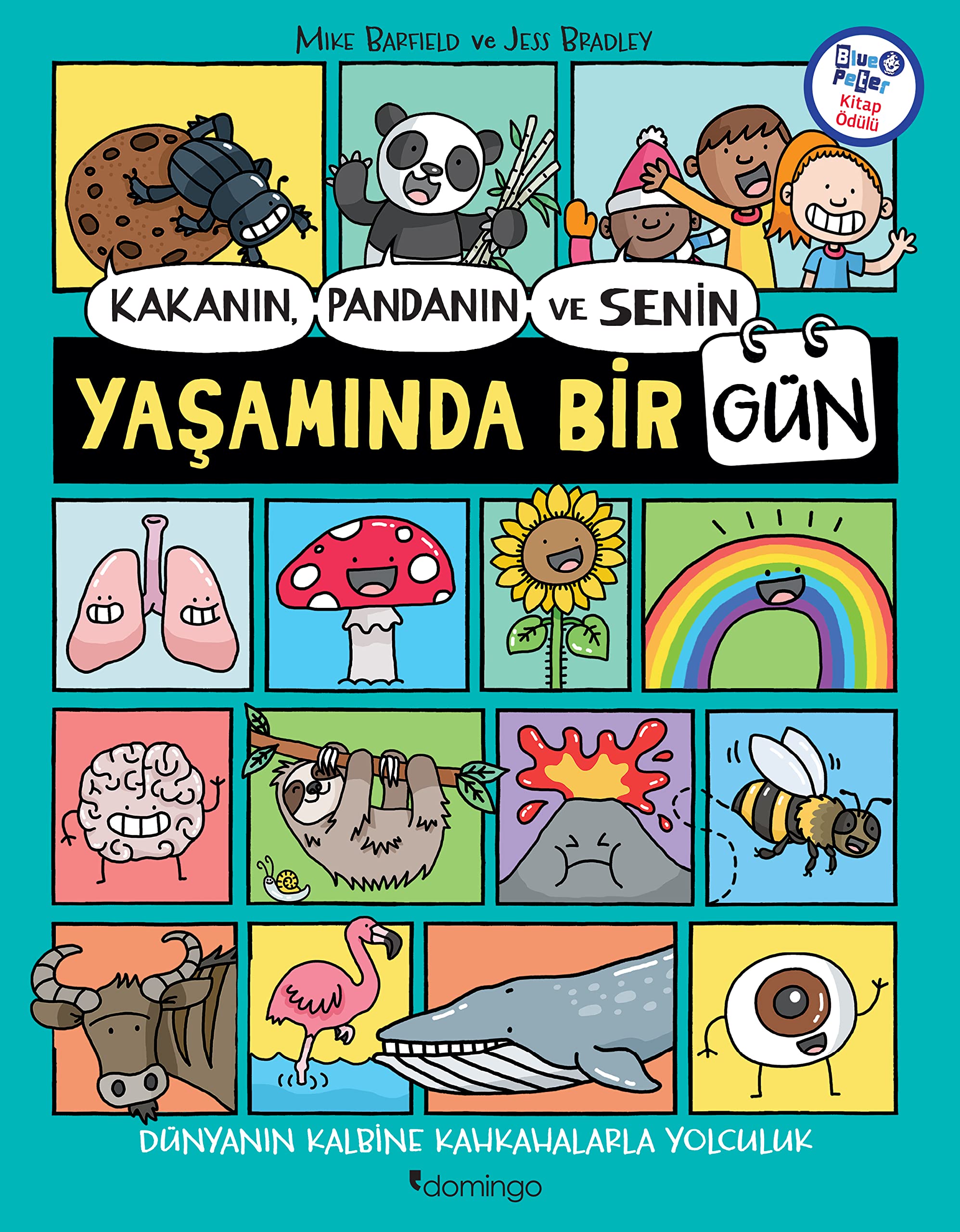 Kakanın Pandanın ve Senin Yaşamında Bir Gün Social Sciences