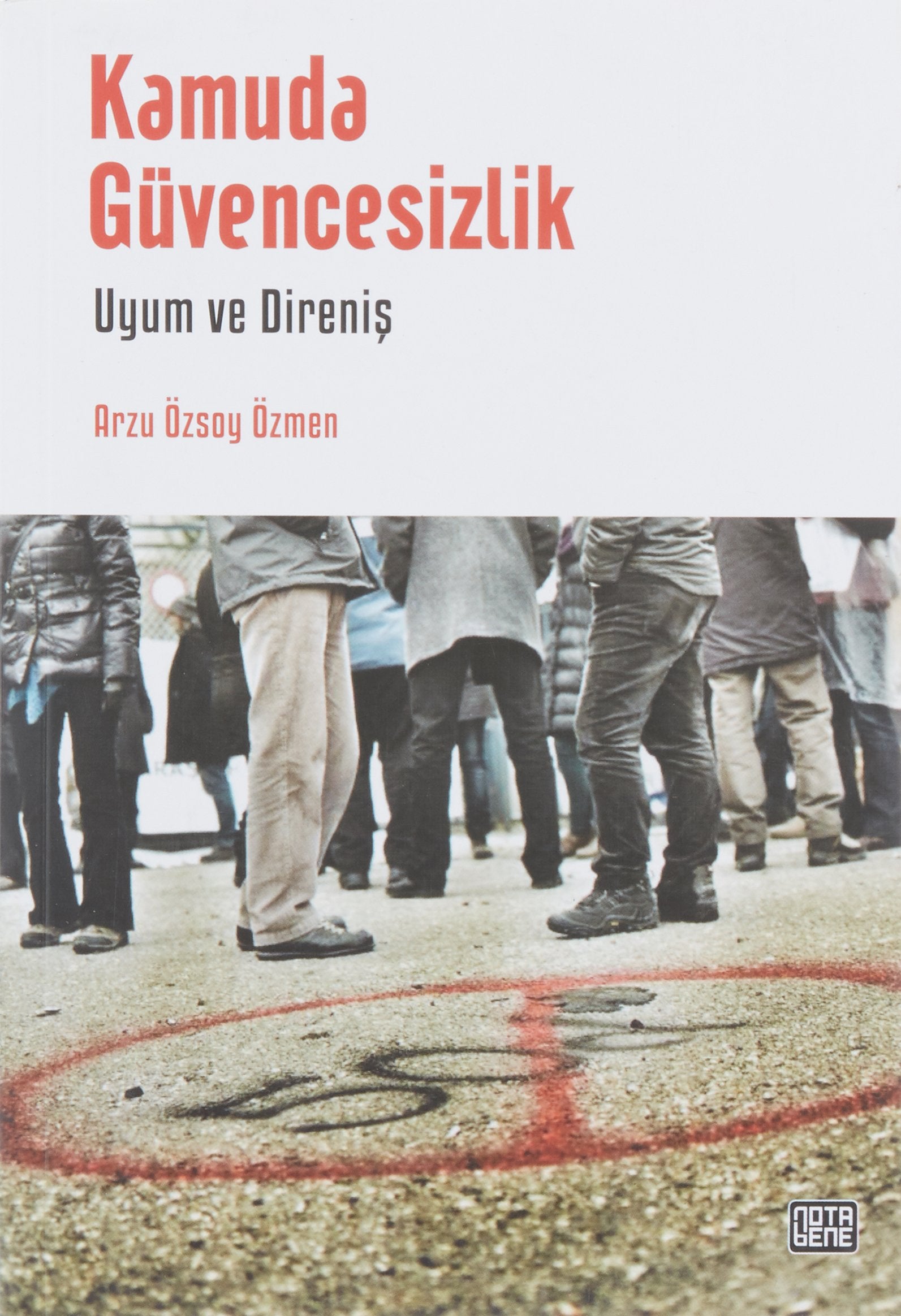 Kamuda Güvencesizlik: Uyum ve Direniş book