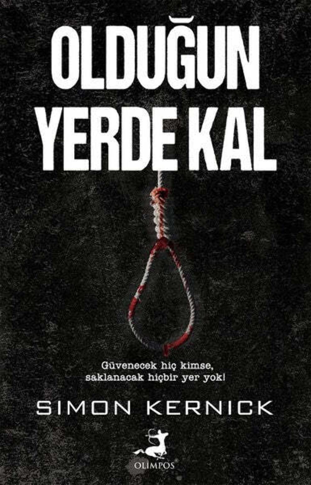 Olduğun Yerde Kal: Güvenecek hiç kimse, saklanacak hiçbir yer yok! book