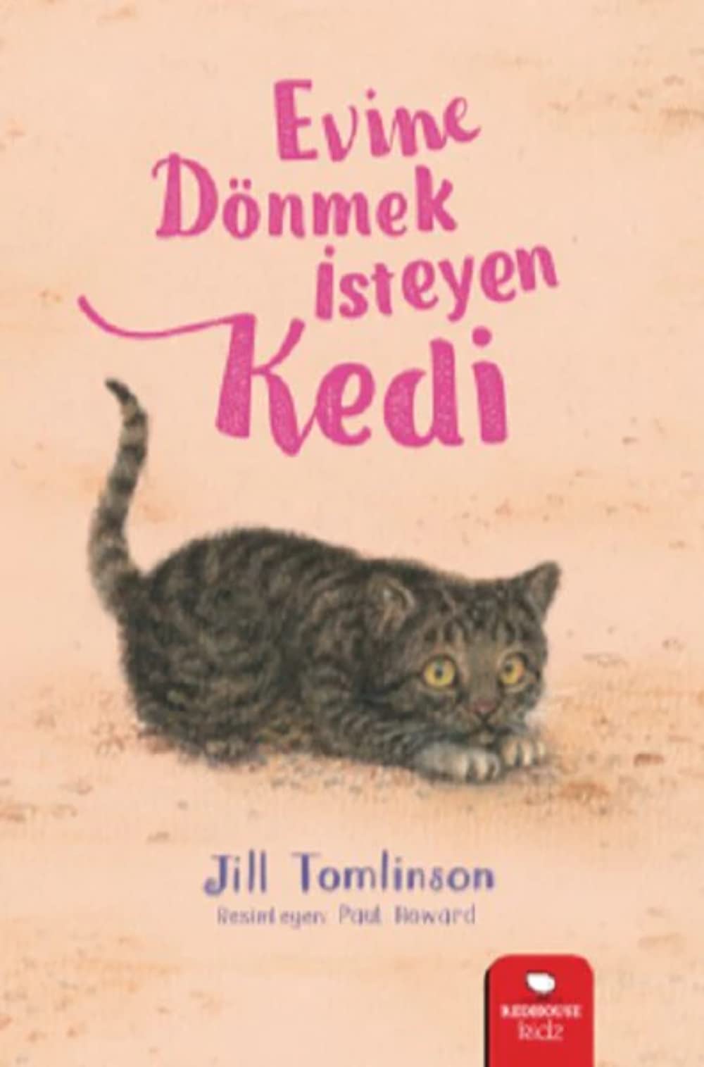 Evine Dönmek İsteyen Kedi Fairy Tales & Legends