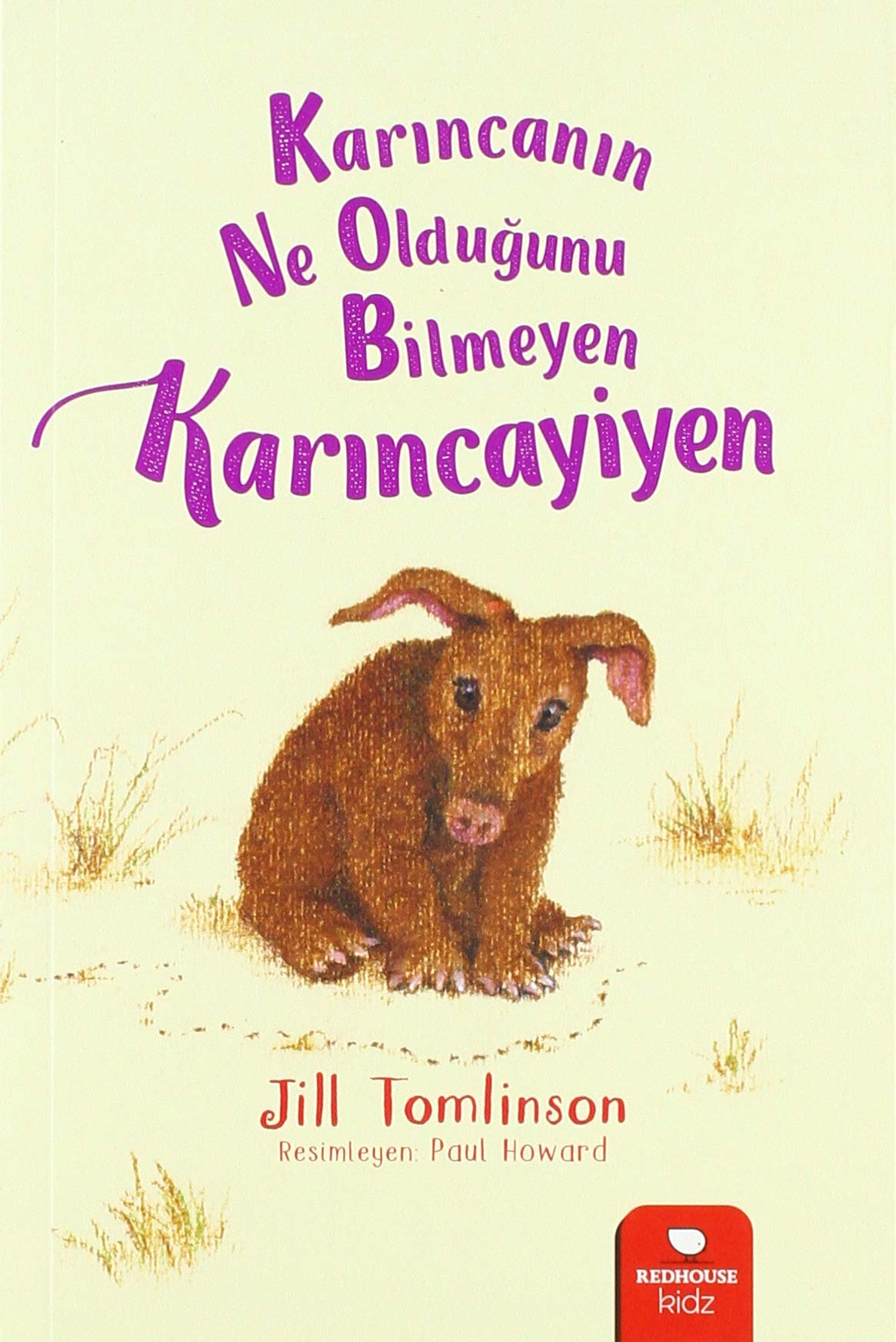 Karıncanın Ne Olduğunu Bilmeyen Karıncayiyen Contemporary literature