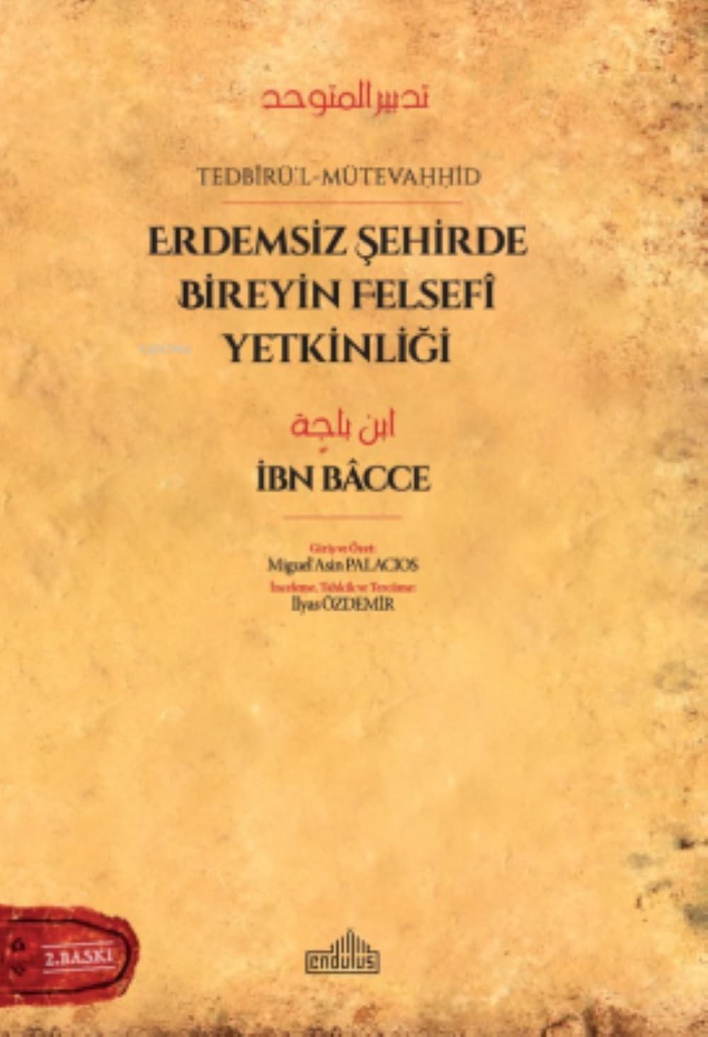 Erdemsiz Sehirde Bireyin Felsefi Yetkinligi Books