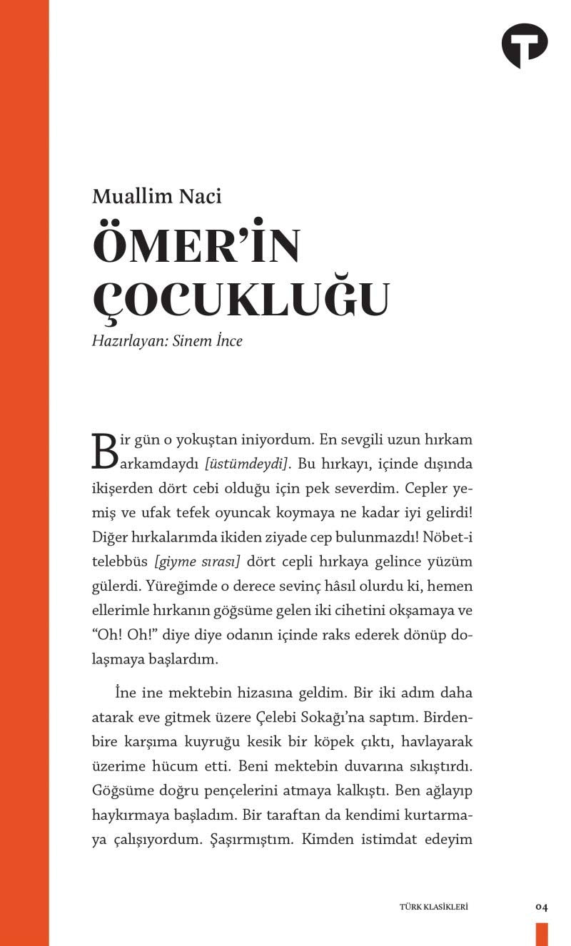 Ömerin Cocuklugu Contemporary literature