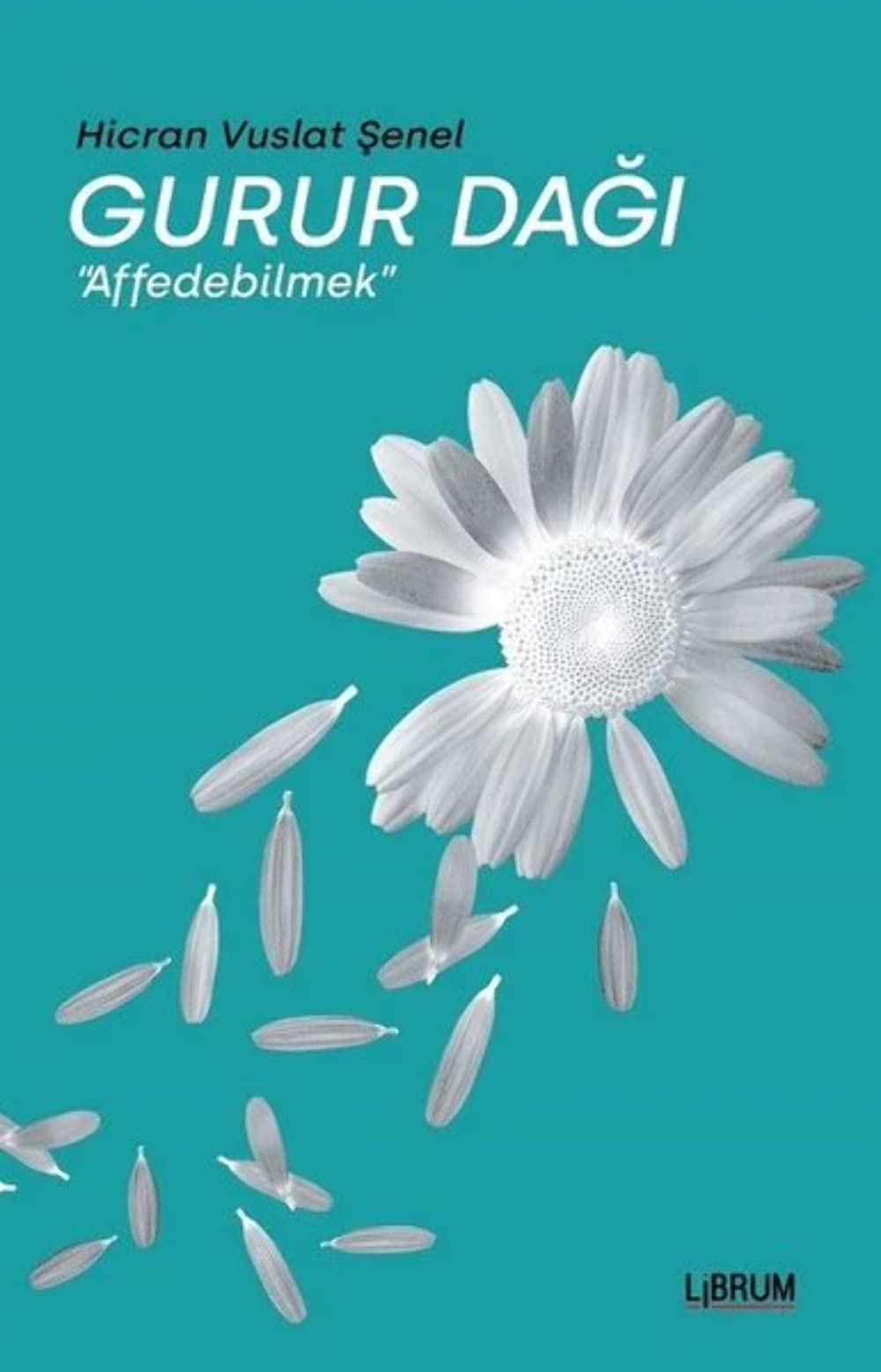 Product Image: Gurur Dagi: Affedebilmek