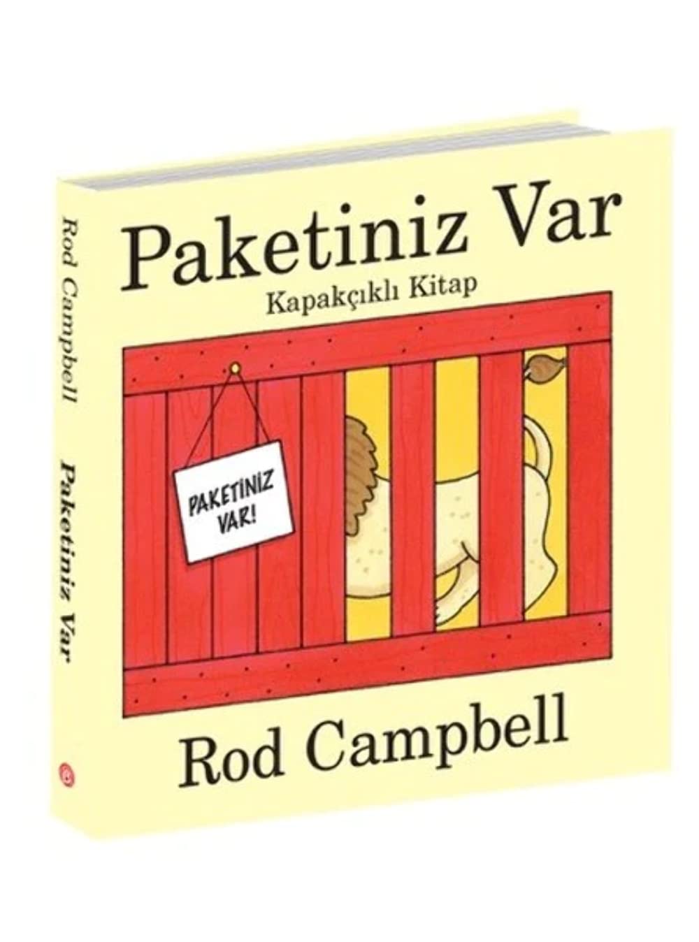 Paketiniz Var: Kapakçıklı Kitap book