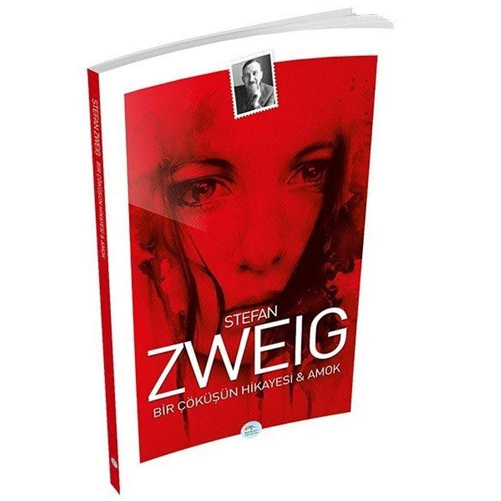Bir Cöküsün Hikayesi ve Amok Books