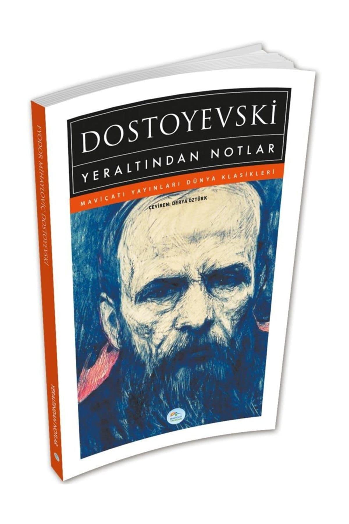 Yeraltindan Notlar book