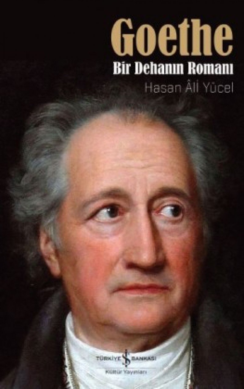 Goethe book