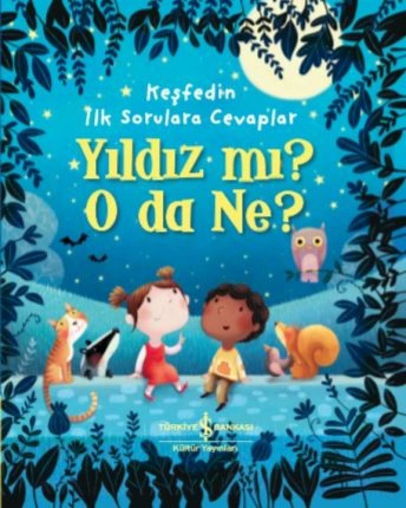 Yildiz mi O Da Ne - Kesfedin Ilk Sorulara Cevaplar Contemporary literature