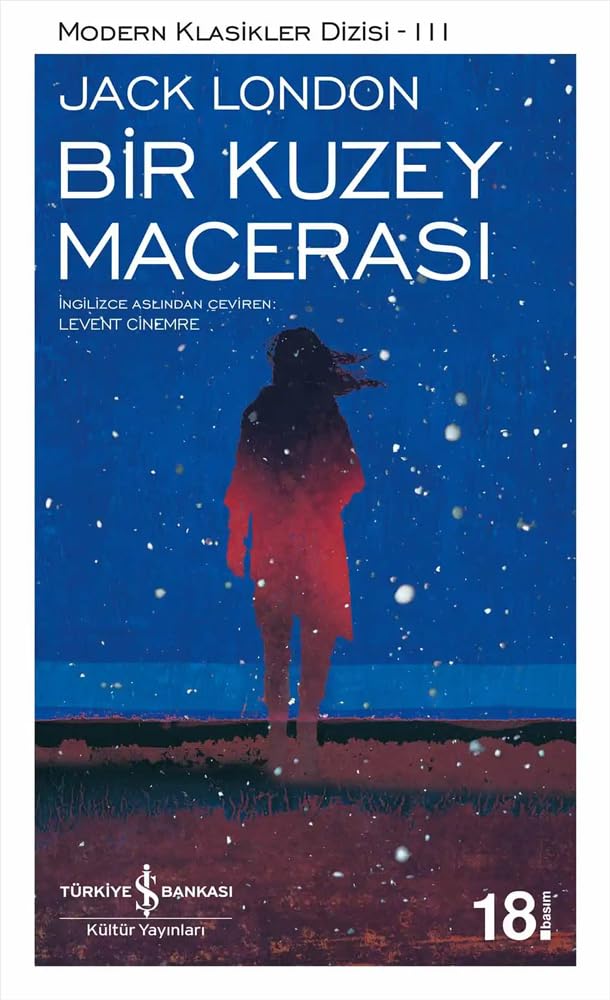 Bir Kuzey Macerasi book
