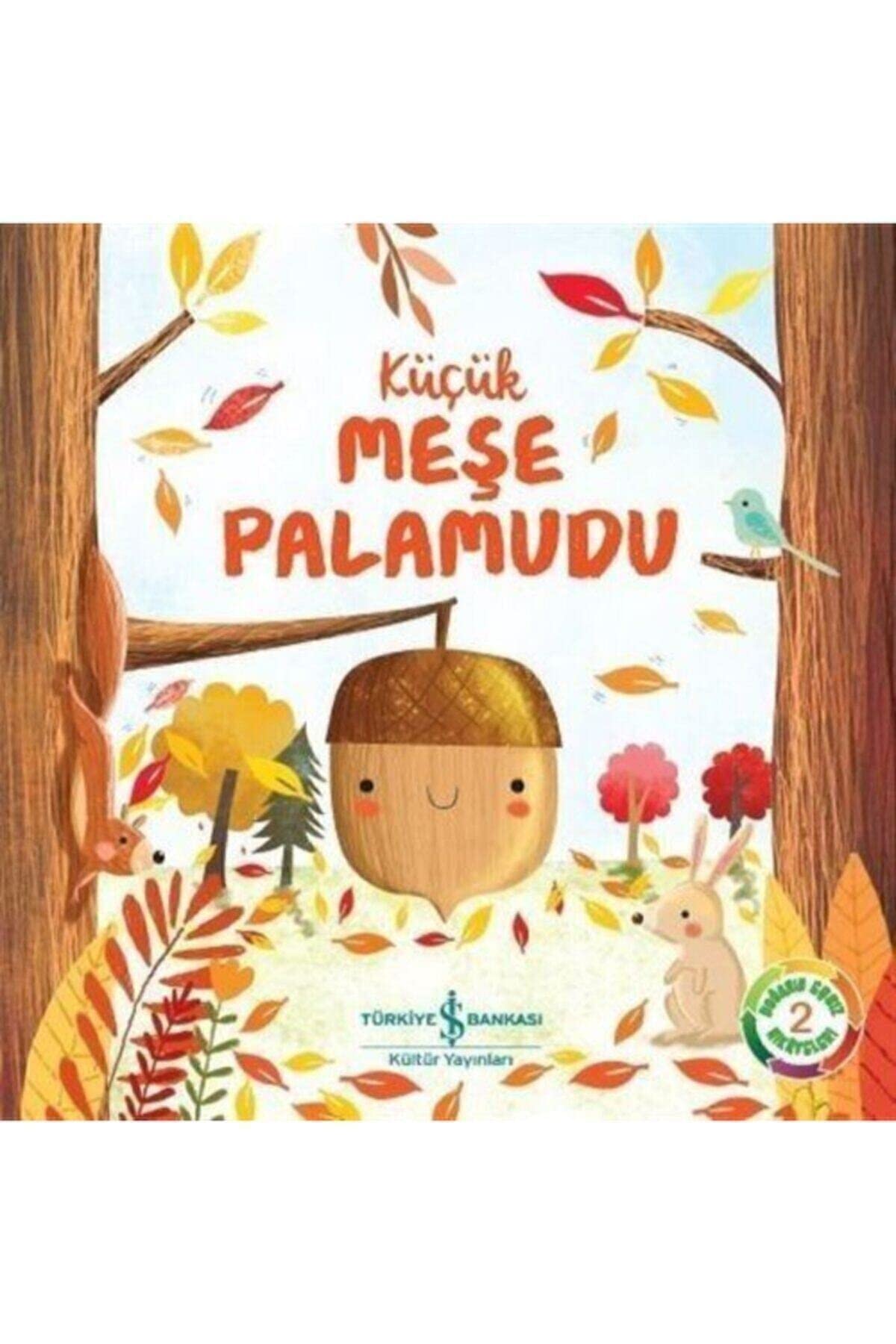 Doğanın Eşsiz Hikayeleri 2 - Küçük Meşe Palamudu Contemporary literature