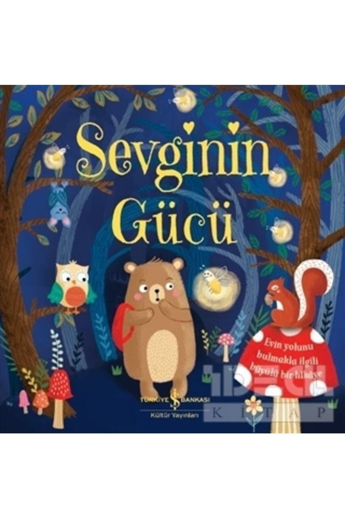 Sevginin Gücü Contemporary literature Books