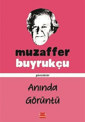 Anında Görüntü: Günlükler Essays & Short Stories